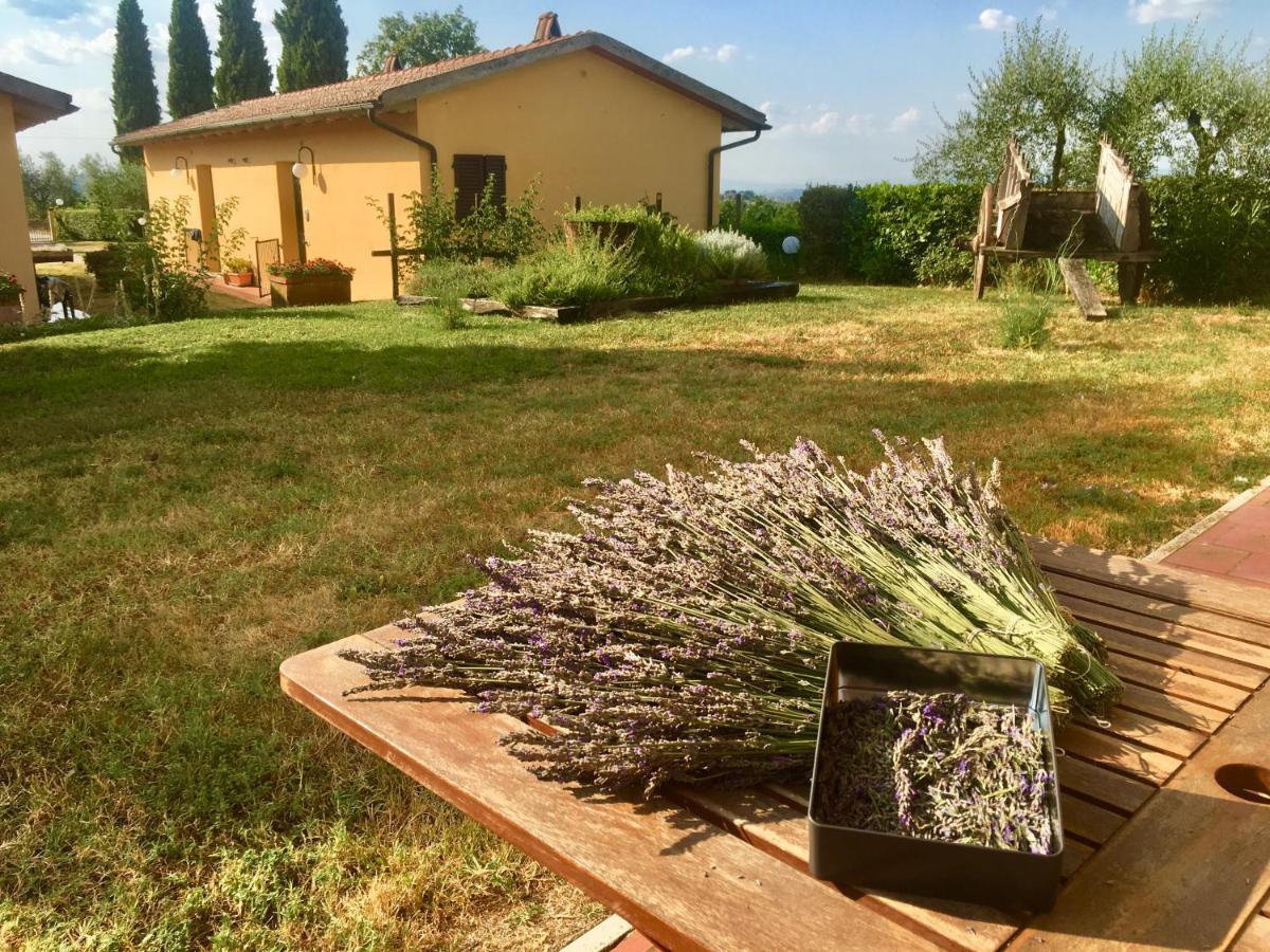 Metina Acquaviva (Montepulciano)