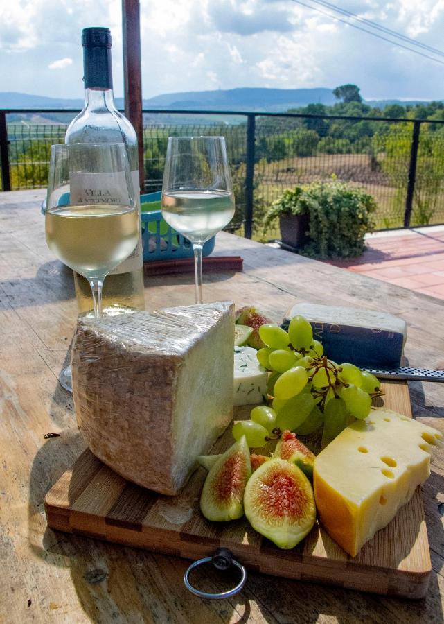 Metina Acquaviva (Montepulciano)
